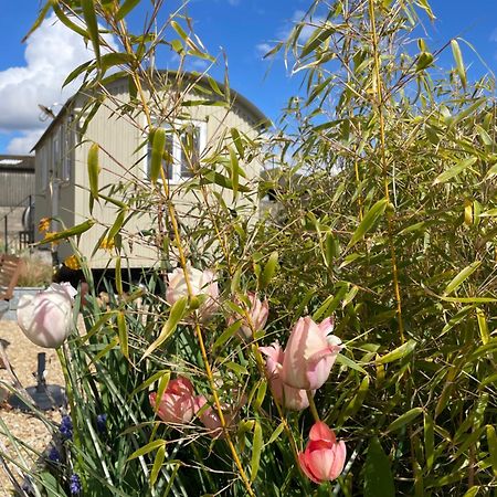 The Shepherd'S Hut Mixbury Exterior foto